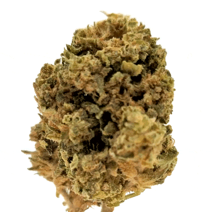 Cheesecake ⬩ Indoor