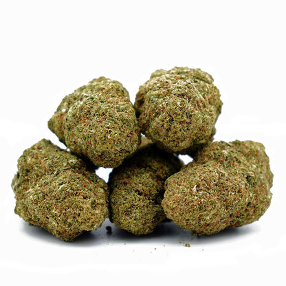 Alien Kush CBD ⬩ Hydro