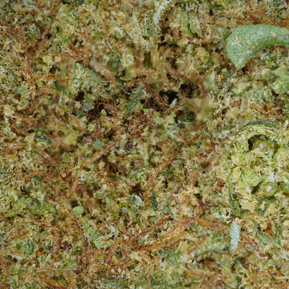 Kryptonite ⬩ Hydro