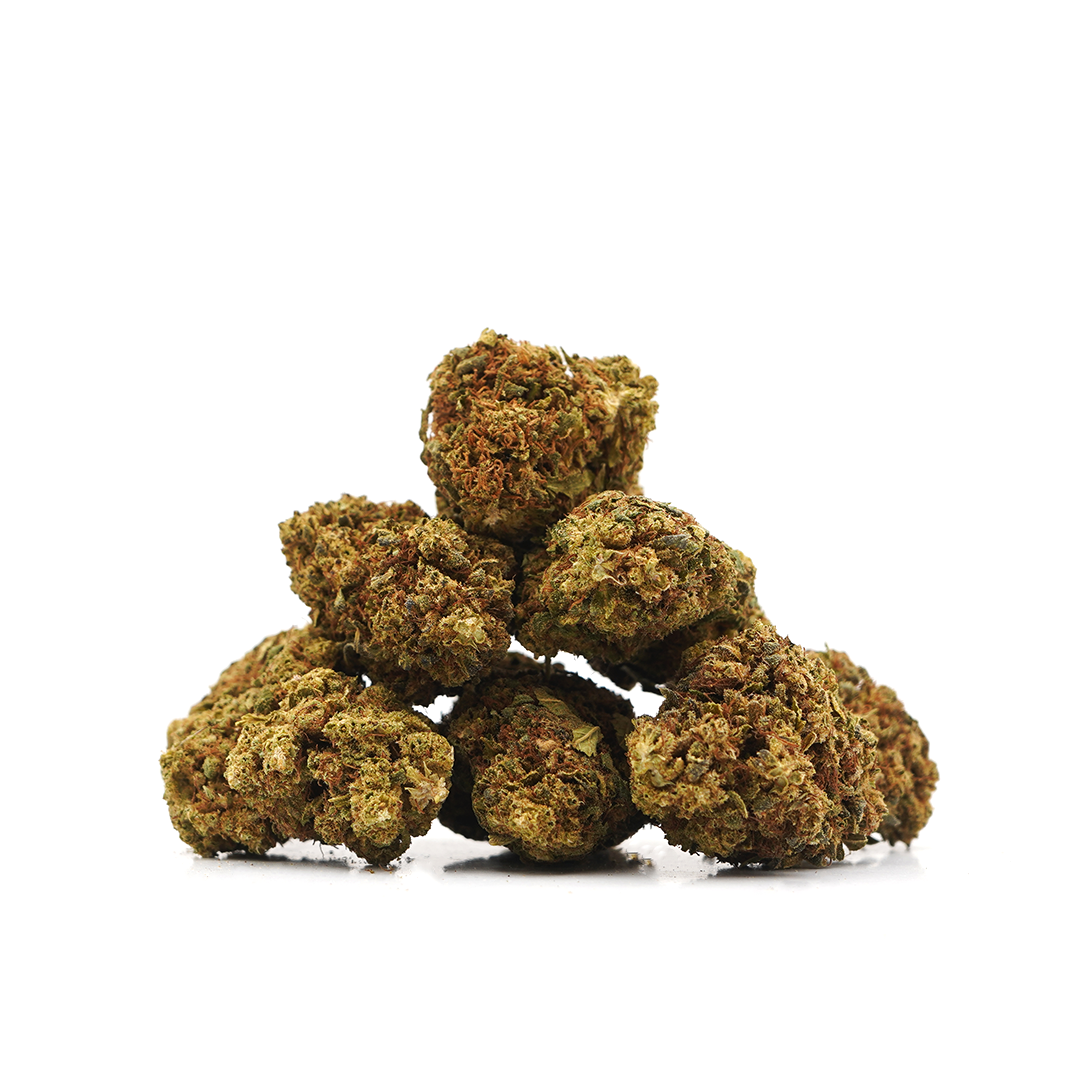Lemon Haze ⬩ Greenhouse