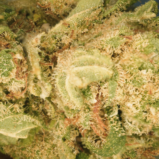 Mango Haze ⬩ Hydro