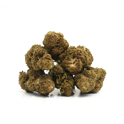 OG Kush ⬩ Greenhouse