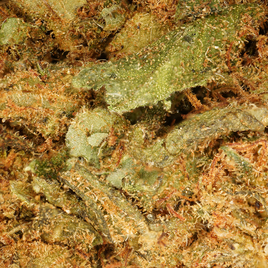 OG Kush ⬩ Greenhouse