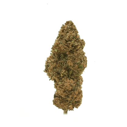 OG Kush ⬩ Greenhouse
