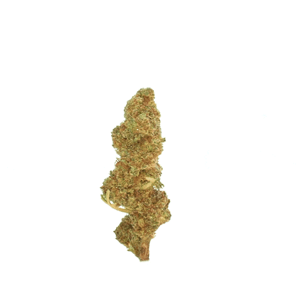 Strawberry ⬩ Petites Têtes