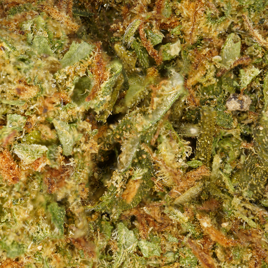 Wedding Cake ⬩ Indoor