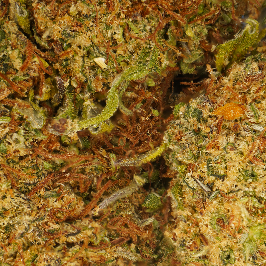 Cheesecake ⬩ Indoor