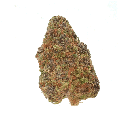 Rainbow Runtz ⬩ Indoor