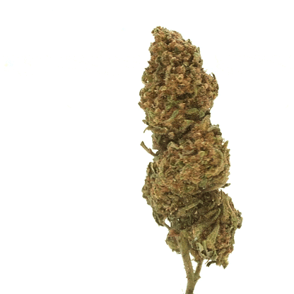Zkittlez ⬩ Greenhouse
