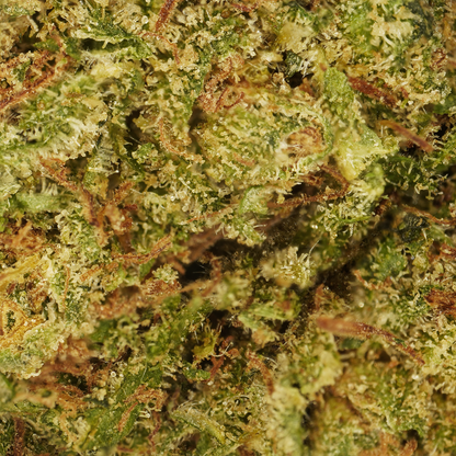 Cookie Kush ⬩ Indoor