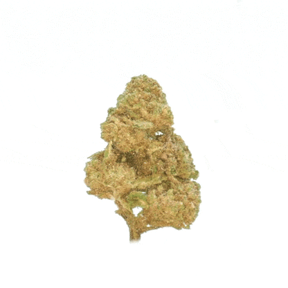 Cookie Kush ⬩ Indoor