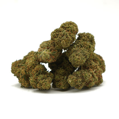 Gorilla Glue ⬩ Indoor