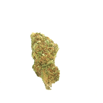 Lemon Haze ⬩ Greenhouse