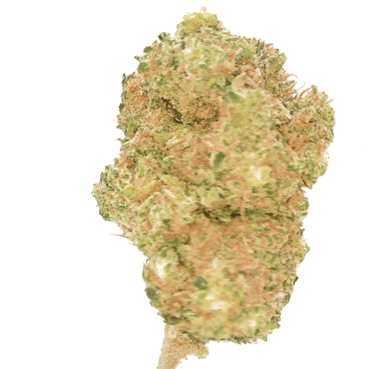 Mandarine ⬩ Hydro