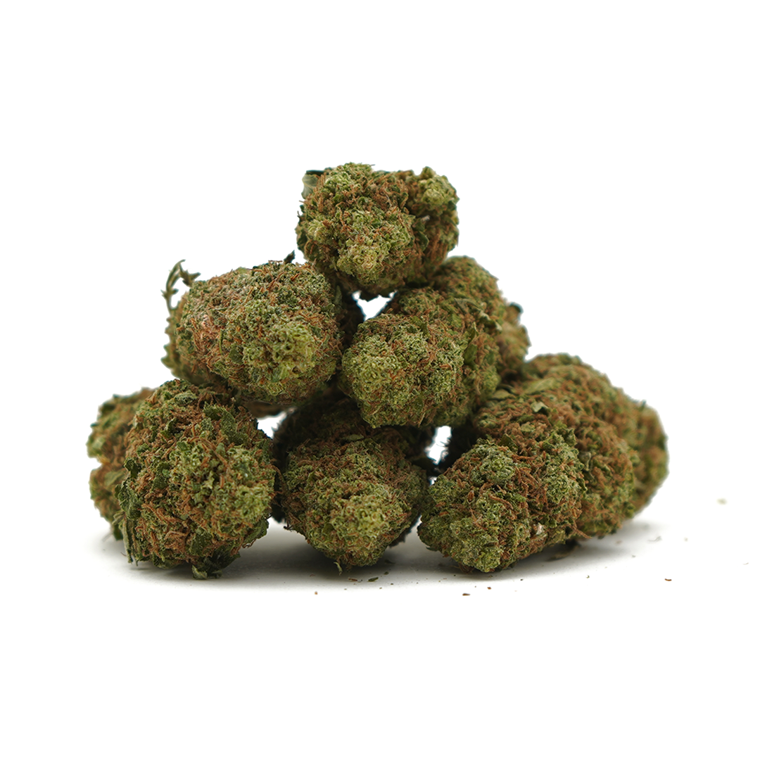 White Widow ⬩ Indoor