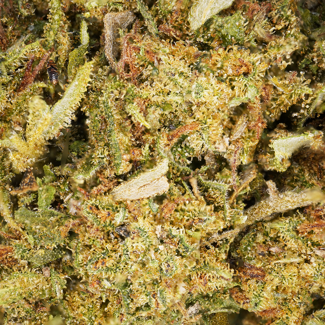 Zkittlez ⬩ Greenhouse